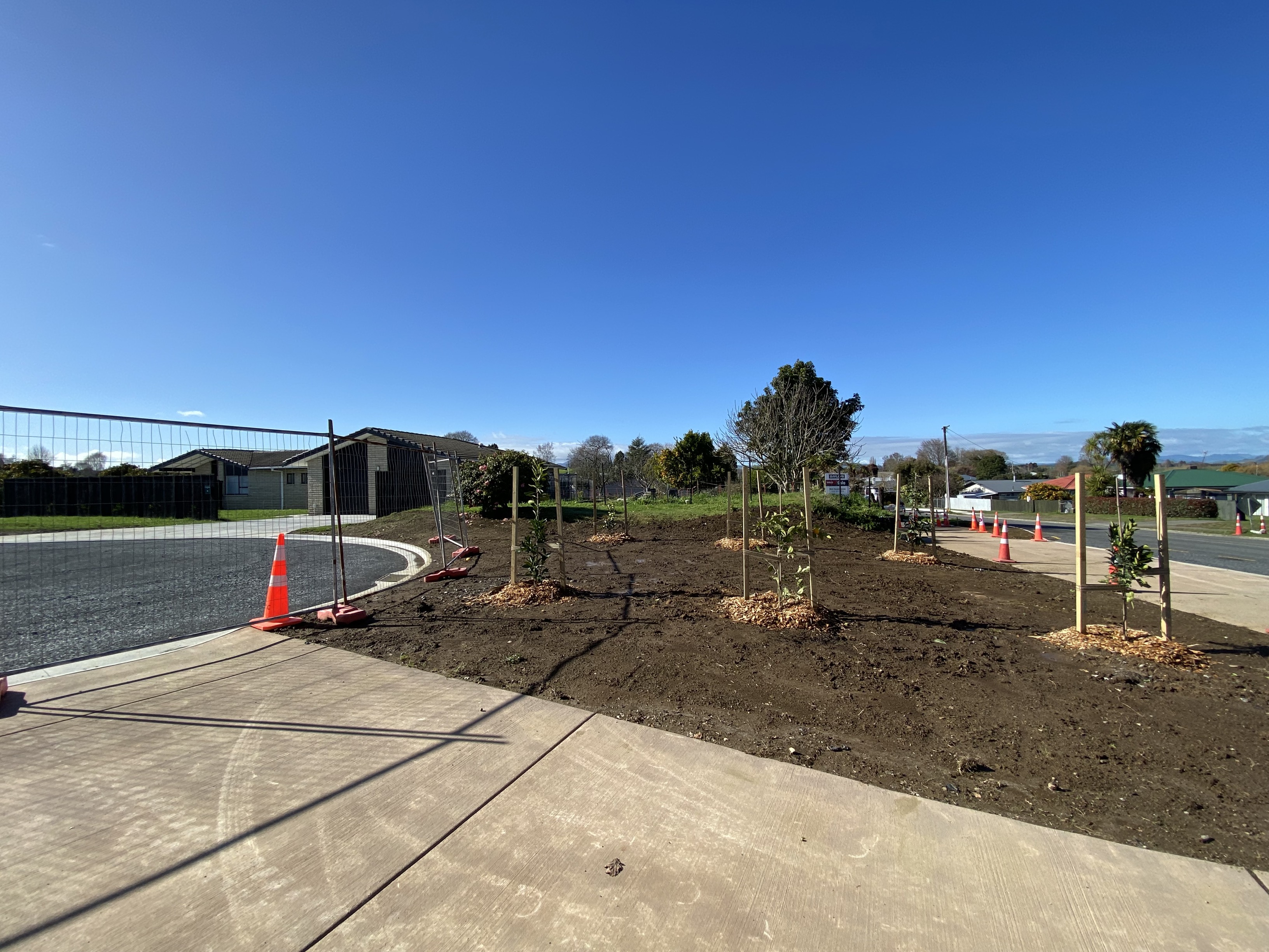 Fruit trees planted at the end of the newly formed cul-de-sac on Moule Street